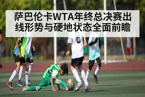 萨巴伦卡WTA年终总决赛出线形势与硬地状态全面前瞻