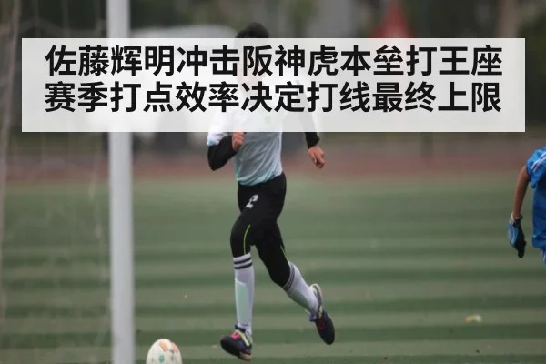 佐藤辉明冲击阪神虎本垒打王座 赛季打点效率决定打线最终上限